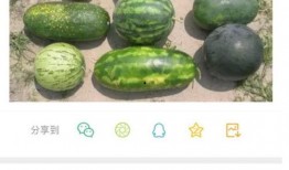 新瓜最新爆料全部,揭秘娱乐圈最新热点事件全貌